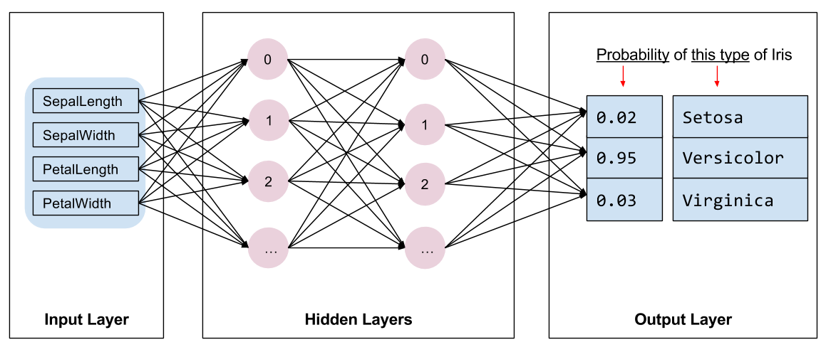 رسم تخطيطي لبنية الشبكة: المدخلات، طبقتان مخفيتان، والمخرجات