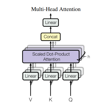 multi-head attention