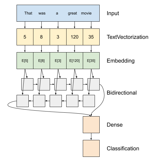 A drawing of the information flow in the model