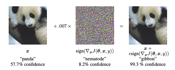 Adversarial Example